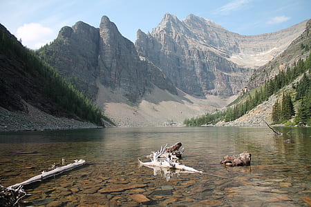 white carving wood on body of water thumbnail