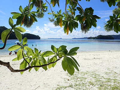 white sand with blue body of water during daytime thumbnail