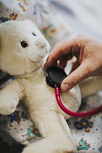 Person Using Stethoscope On Bear Plush Toy thumbnail