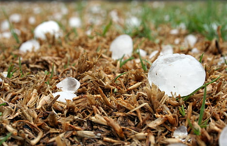selective focus photography of ice on brown surface thumbnail