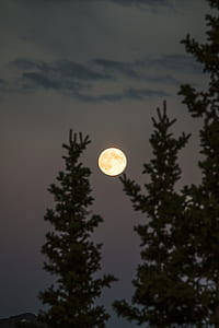 selective focus of full moon thumbnail
