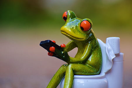 frog on toilet bowl figurine thumbnail
