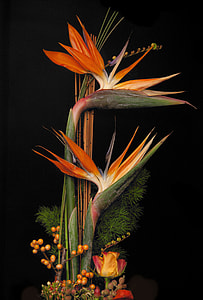 Flowers, Flower Arrangement thumbnail