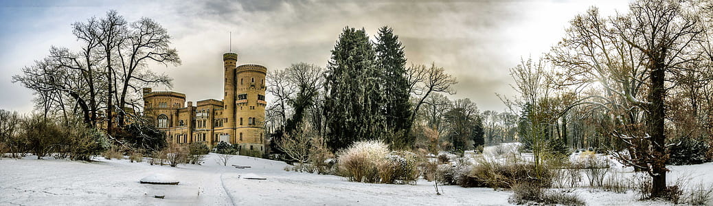 snow covered pavement near trees and building at daytime thumbnail