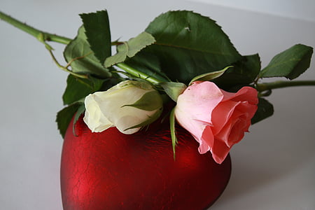 pink flower thumbnail