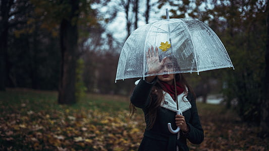 person holding clear plastic umbrella during daytime thumbnail