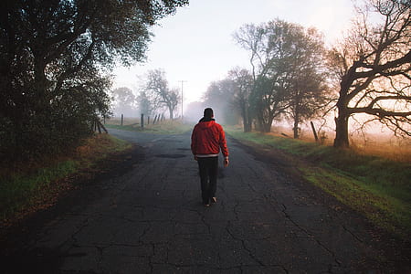 man walks on pathway near trees at daytime thumbnail
