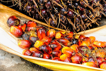 red and orange palm fruits on husk thumbnail