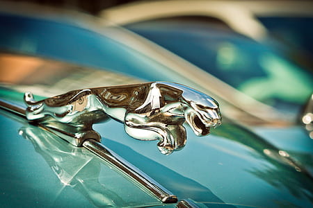 Jaguar hood ornament thumbnail