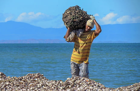 man carrying brown seashell lot near the body of water at daytime thumbnail