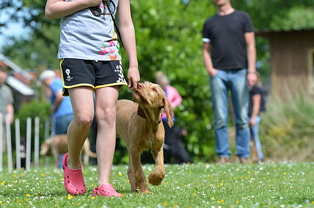 person walking with puppy thumbnail