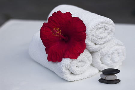 white bathroom towel with red hibicus thumbnail