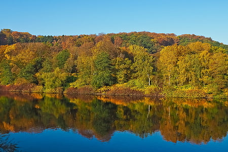 green leafed trees beside body of water thumbnail