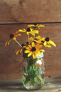 yellow petaled flowers thumbnail
