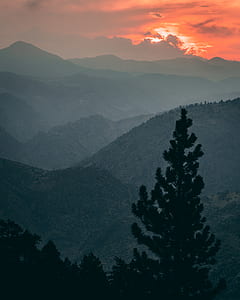 high angle photo of trees and mountains thumbnail