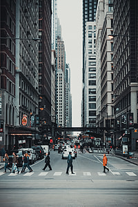 people walking on road surrounded building thumbnail