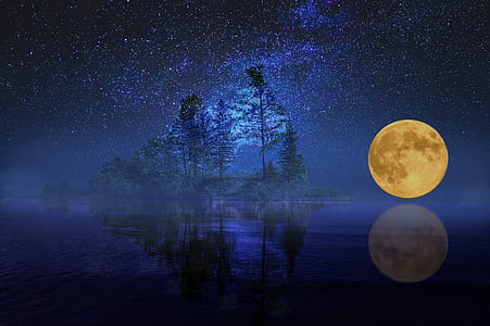 yellow full-moon and trees thumbnail