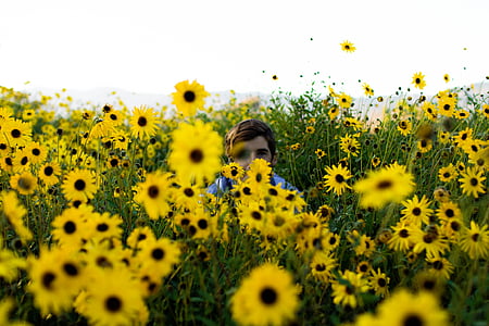 man surrounded by yellow flowers thumbnail