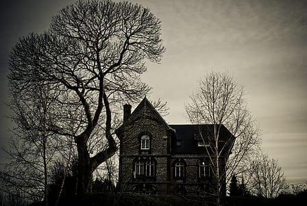 grayscale photography of 2-storey house beside withered trees thumbnail