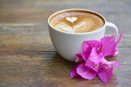 cappuccino beside bougambilla thumbnail