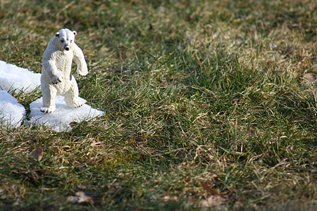 white polar bear figurine thumbnail