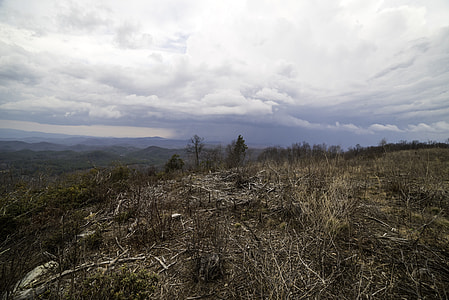 Mountaintop Top Under Clouds at Sassafras Mountain, South Carolina thumbnail