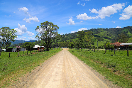 green leafed trees thumbnail
