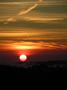 silhouette of trees during golden hour thumbnail