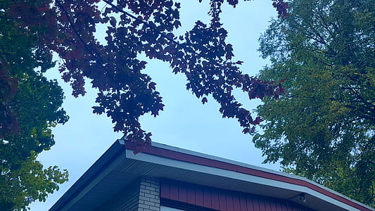 Low-angle Photography of Red and White Concrete House Surrounded of Trees Under White Skies thumbnail