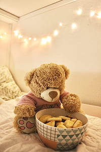 Brown Bear Plush Toy thumbnail