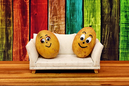 two potatoes on sofa with multicolored background thumbnail