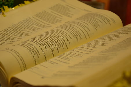 close up photo of book thumbnail