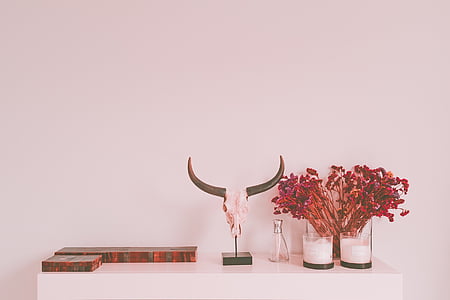 gray animal skull beside red flowers thumbnail