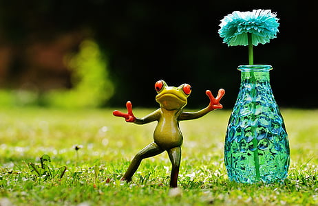green tree frog beside teal flower vase thumbnail