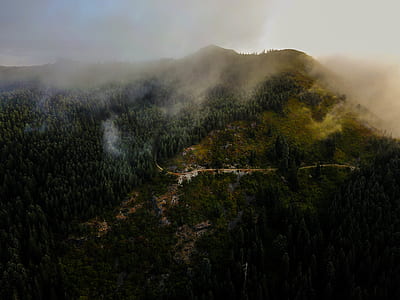 aerial photo of burning forest during daytime thumbnail