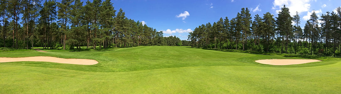 green field grass surrounded by tress thumbnail