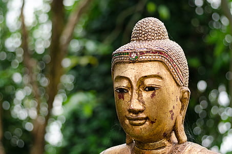 Gautama Buddha statue thumbnail