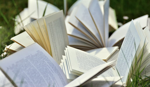 opened books on grass thumbnail