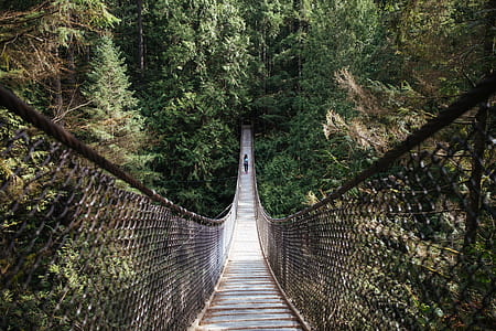 A young Asian woman walking on a suspension bridge thumbnail
