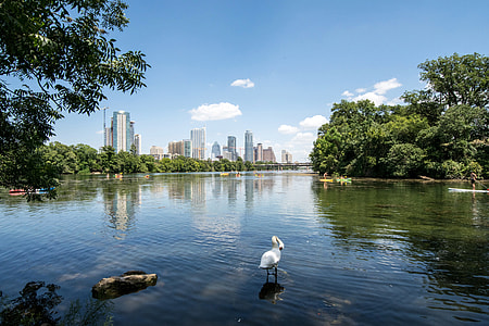 Lake and landscape and Austin Skyline, Texas thumbnail
