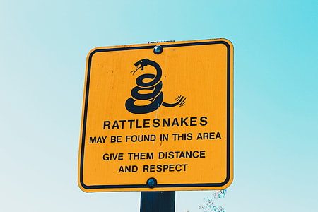 photo of Rattle Snakes signage thumbnail