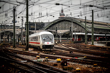 white train thumbnail