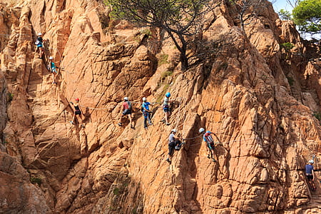 group of wall climbers on brown rock formation during daytime thumbnail