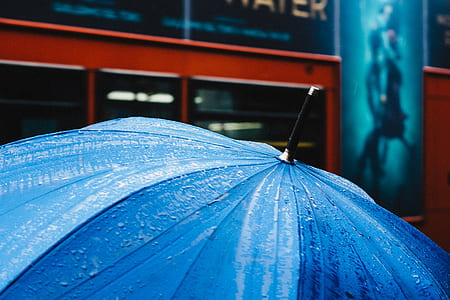closeup photo of blue umbrella thumbnail