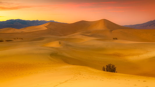 desert during sunset thumbnail