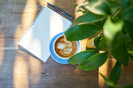 cappuccino and textbook on table thumbnail