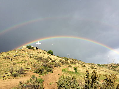 green trees under rainbow at daytime thumbnail