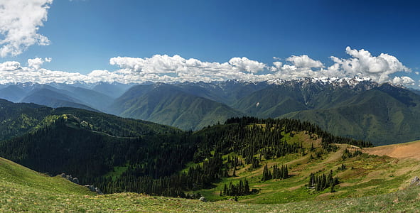 green trees beside mountains under cloudy sky at daytime thumbnail