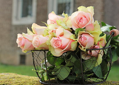 shallow focus photography of pink flowers thumbnail