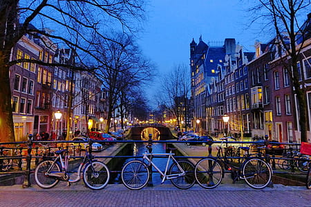 Amsterdam Bikes thumbnail